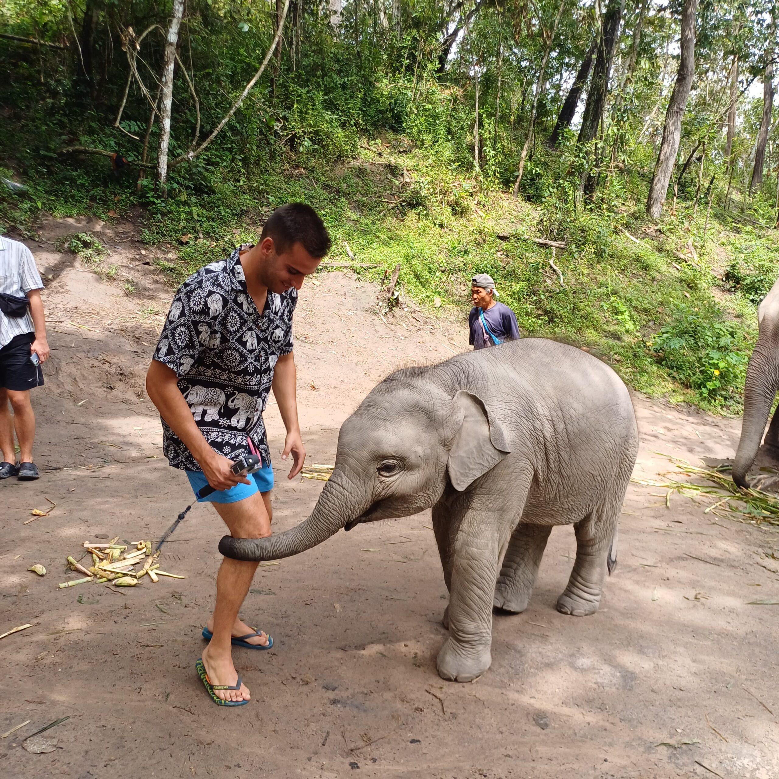 http://avichiangmaitravel.com/wp-content/uploads/2025/03/IMG-20250224-WA0054-scaled.jpg