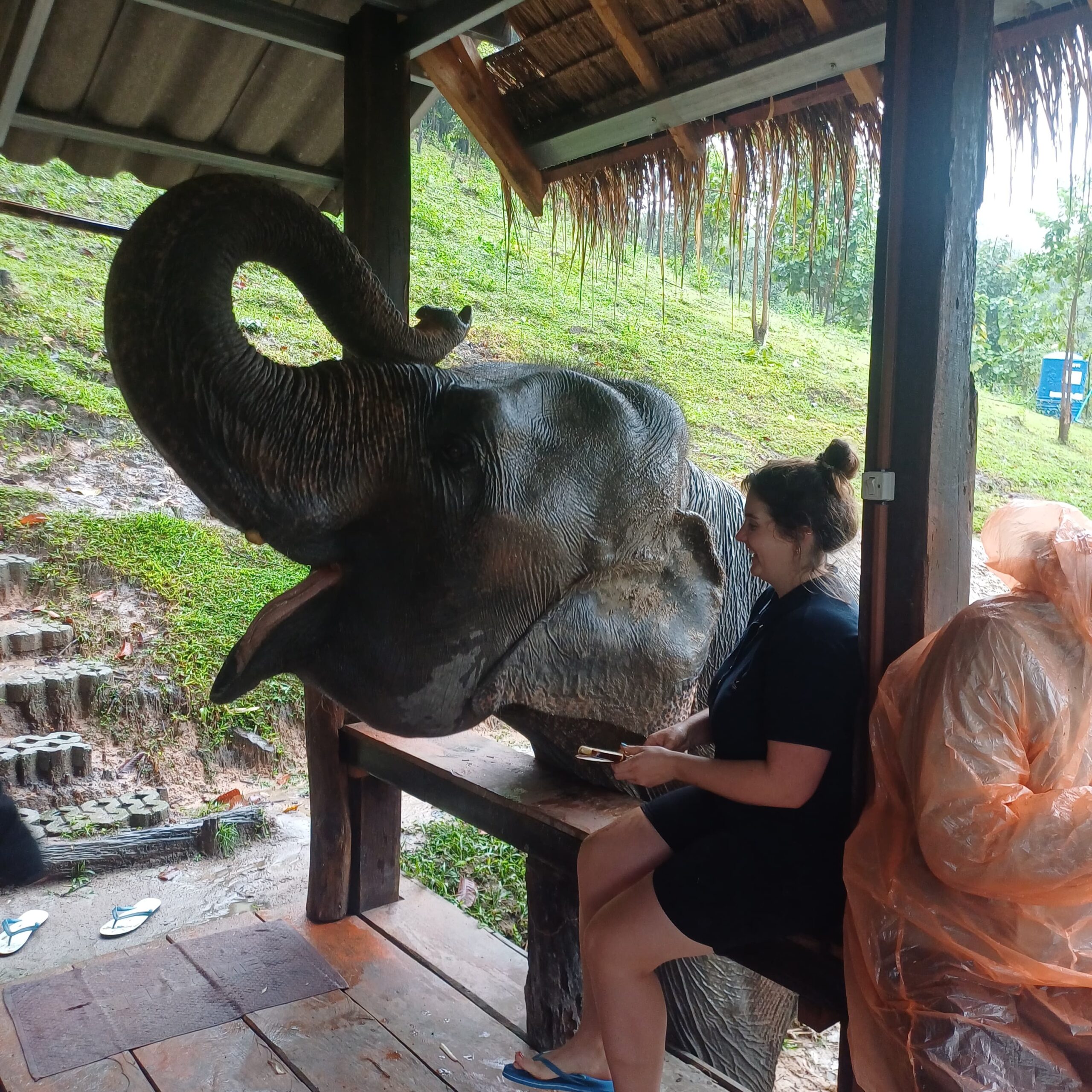http://avichiangmaitravel.com/wp-content/uploads/2025/03/IMG-20250224-WA0065-scaled.jpg