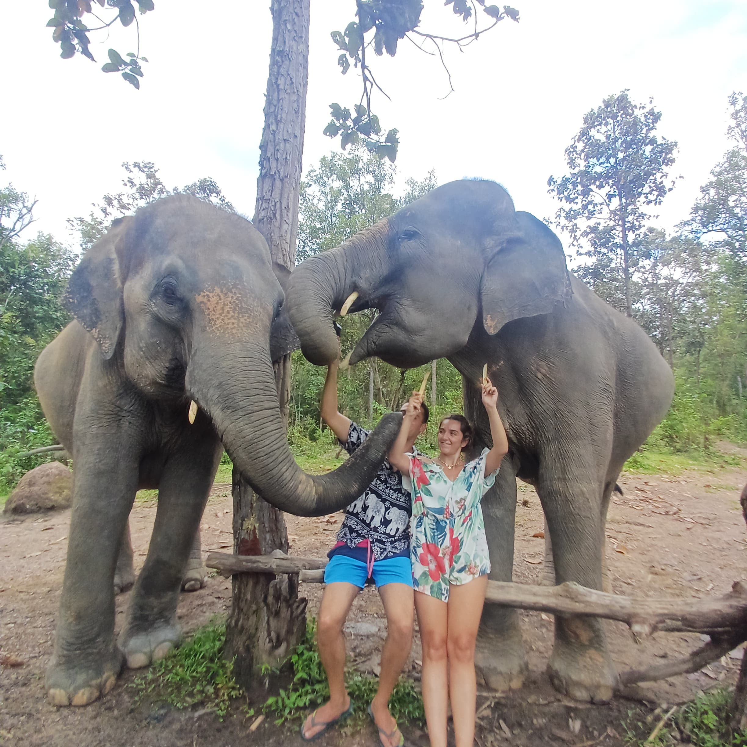 http://avichiangmaitravel.com/wp-content/uploads/2025/03/IMG-20250224-WA0072.jpg