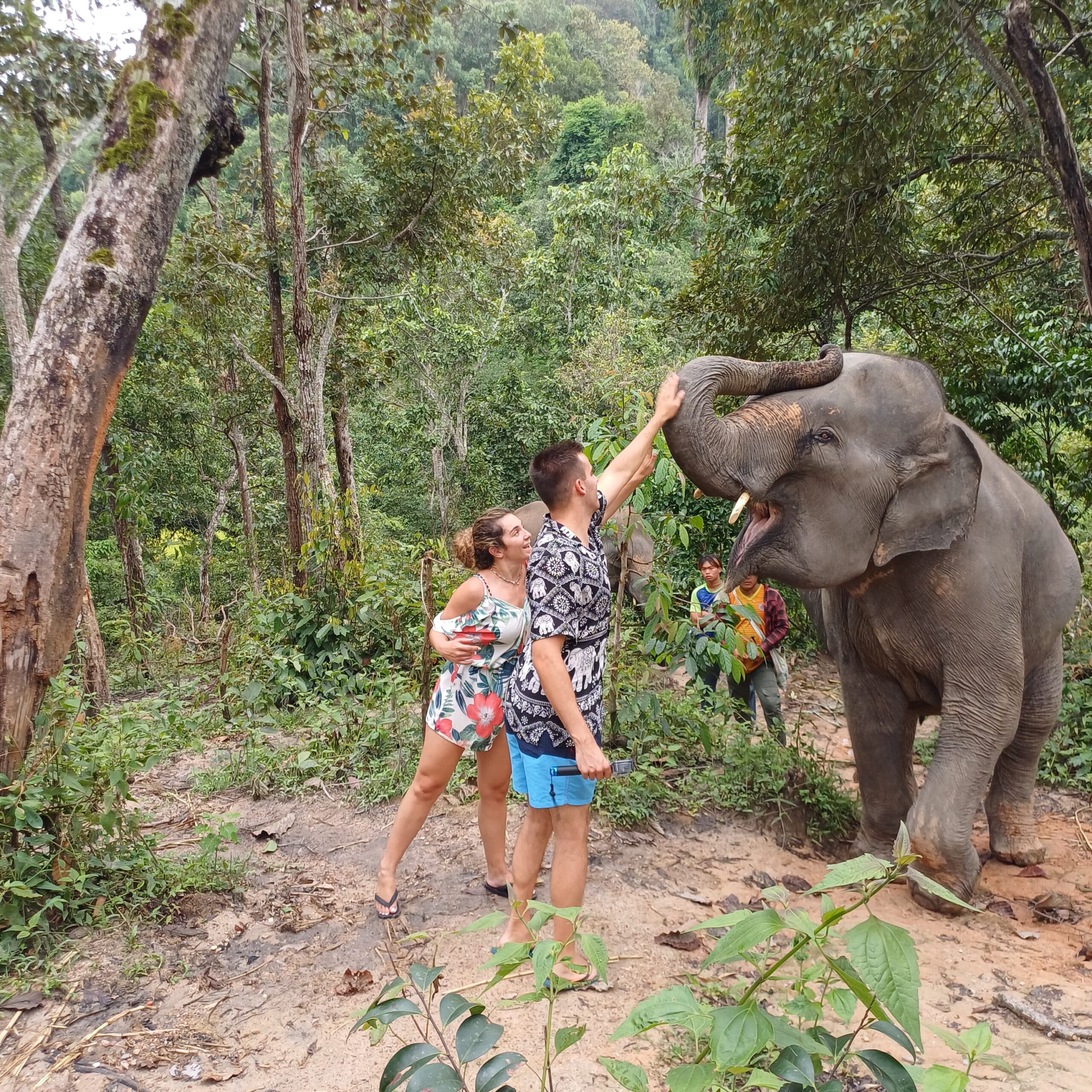 http://avichiangmaitravel.com/wp-content/uploads/2025/03/IMG-20250224-WA0074-1-scaled.jpg