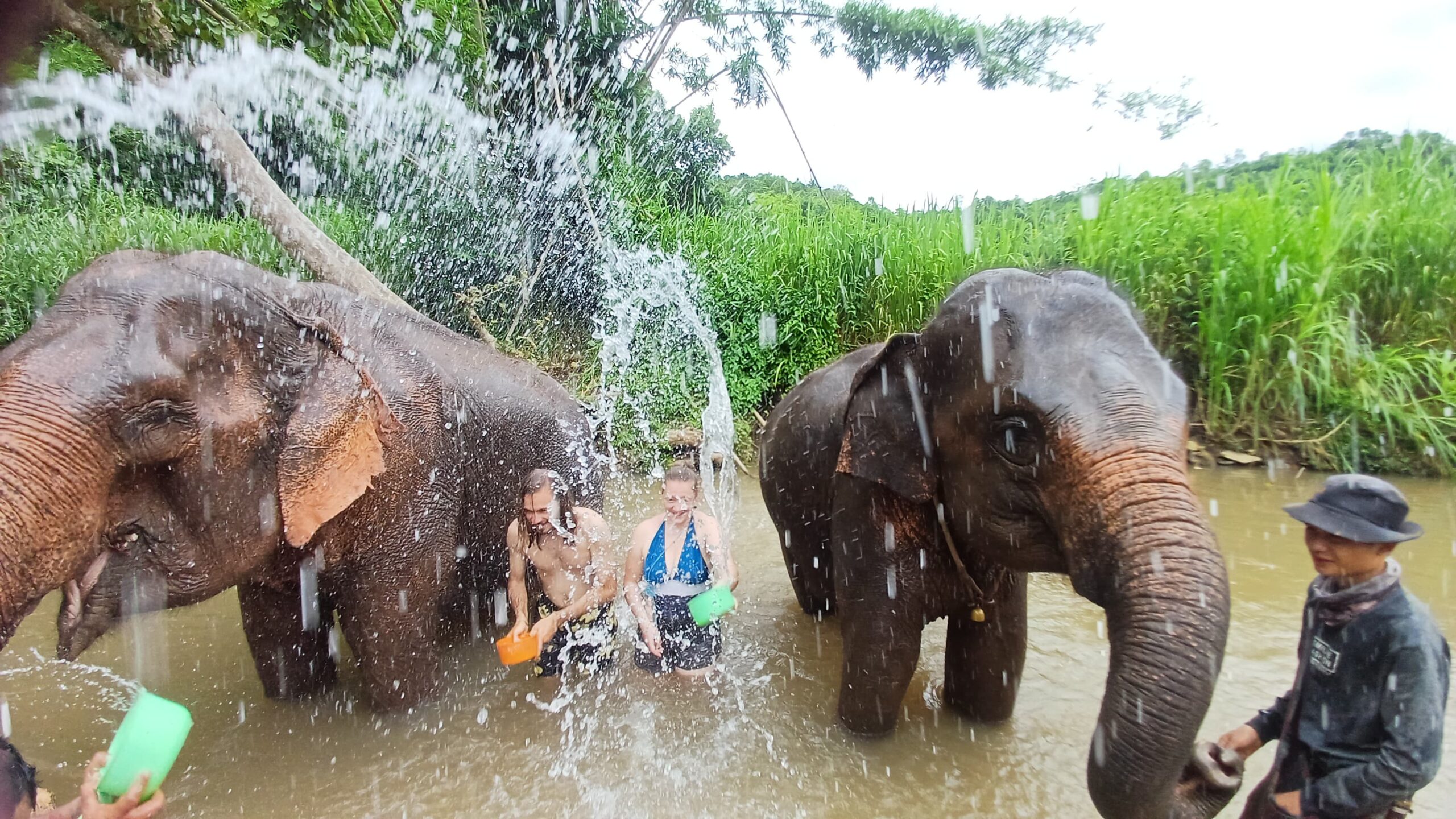 http://avichiangmaitravel.com/wp-content/uploads/2025/03/IMG-20250224-WA0085-scaled.jpg
