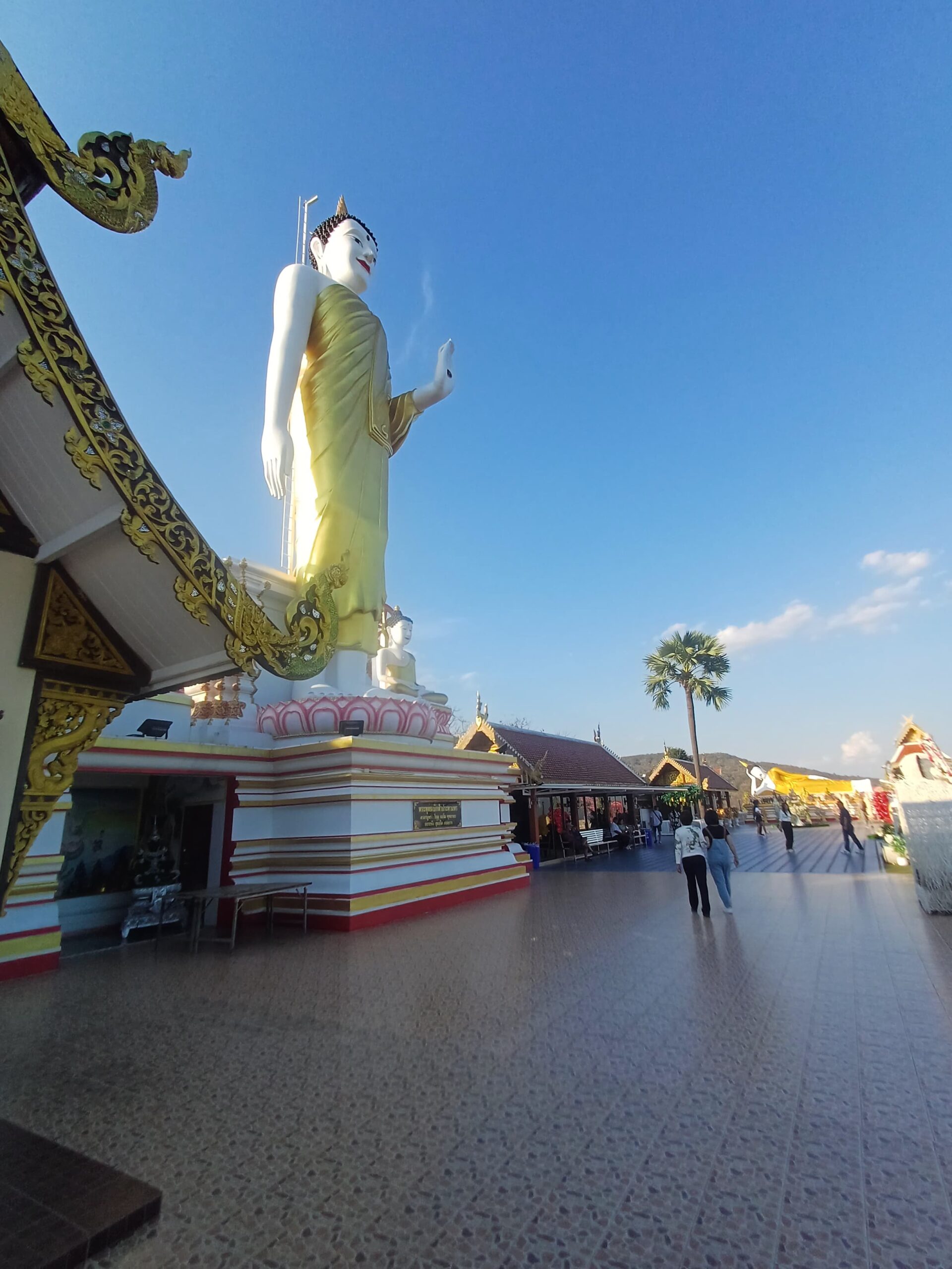http://avichiangmaitravel.com/wp-content/uploads/2025/03/IMG-20250324-WA0233-scaled.jpg