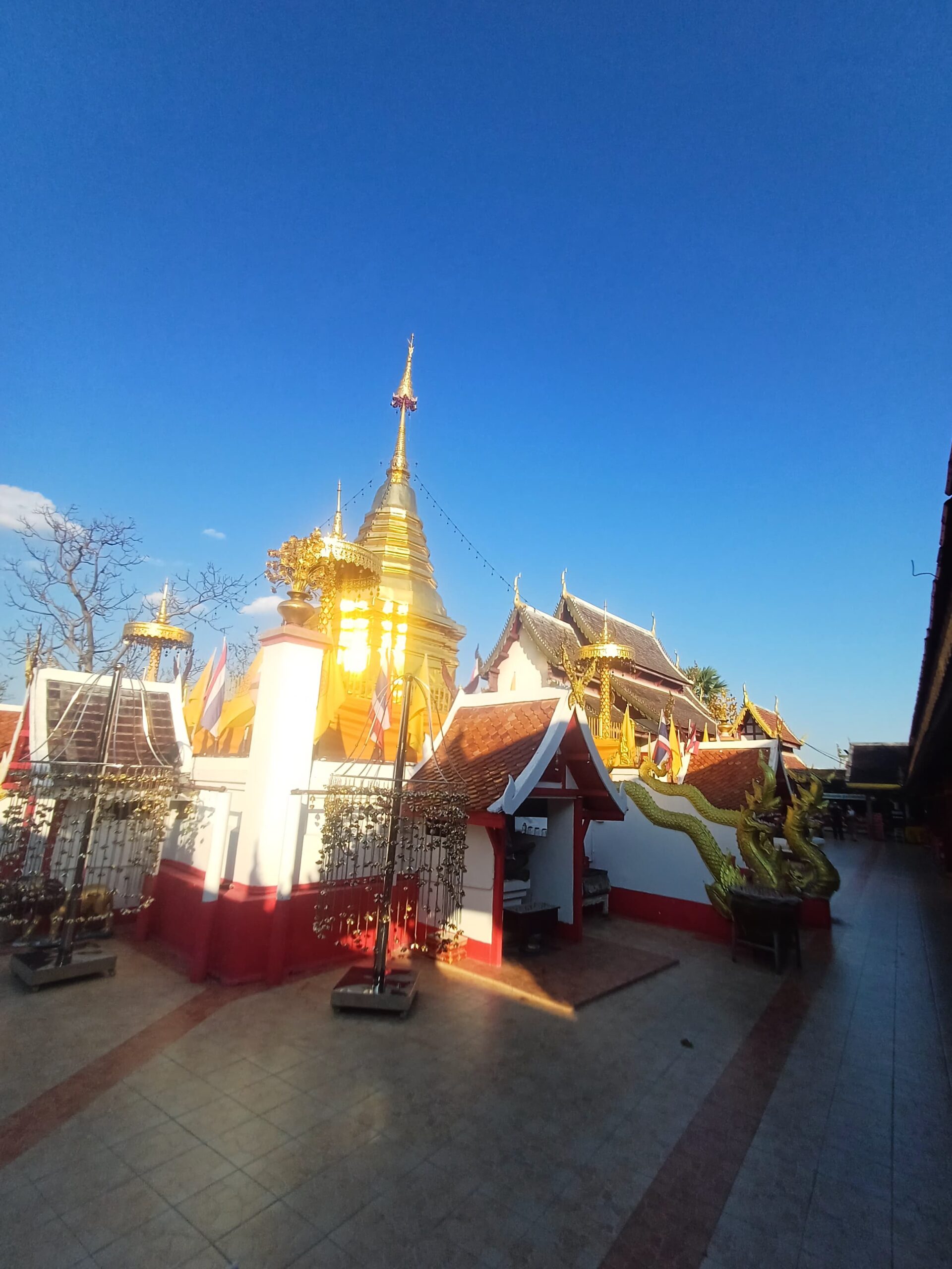http://avichiangmaitravel.com/wp-content/uploads/2025/03/IMG-20250324-WA0234-scaled.jpg