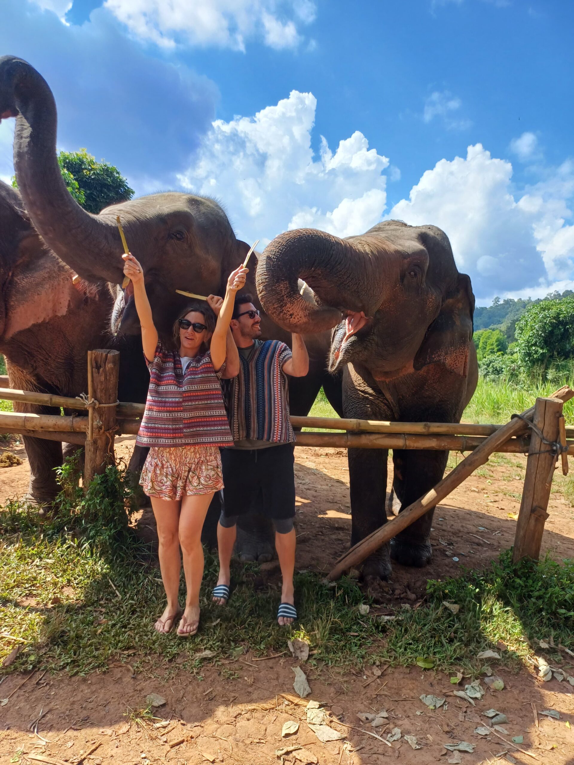 http://avichiangmaitravel.com/wp-content/uploads/2025/04/IMG-20250324-WA0078-scaled.jpg