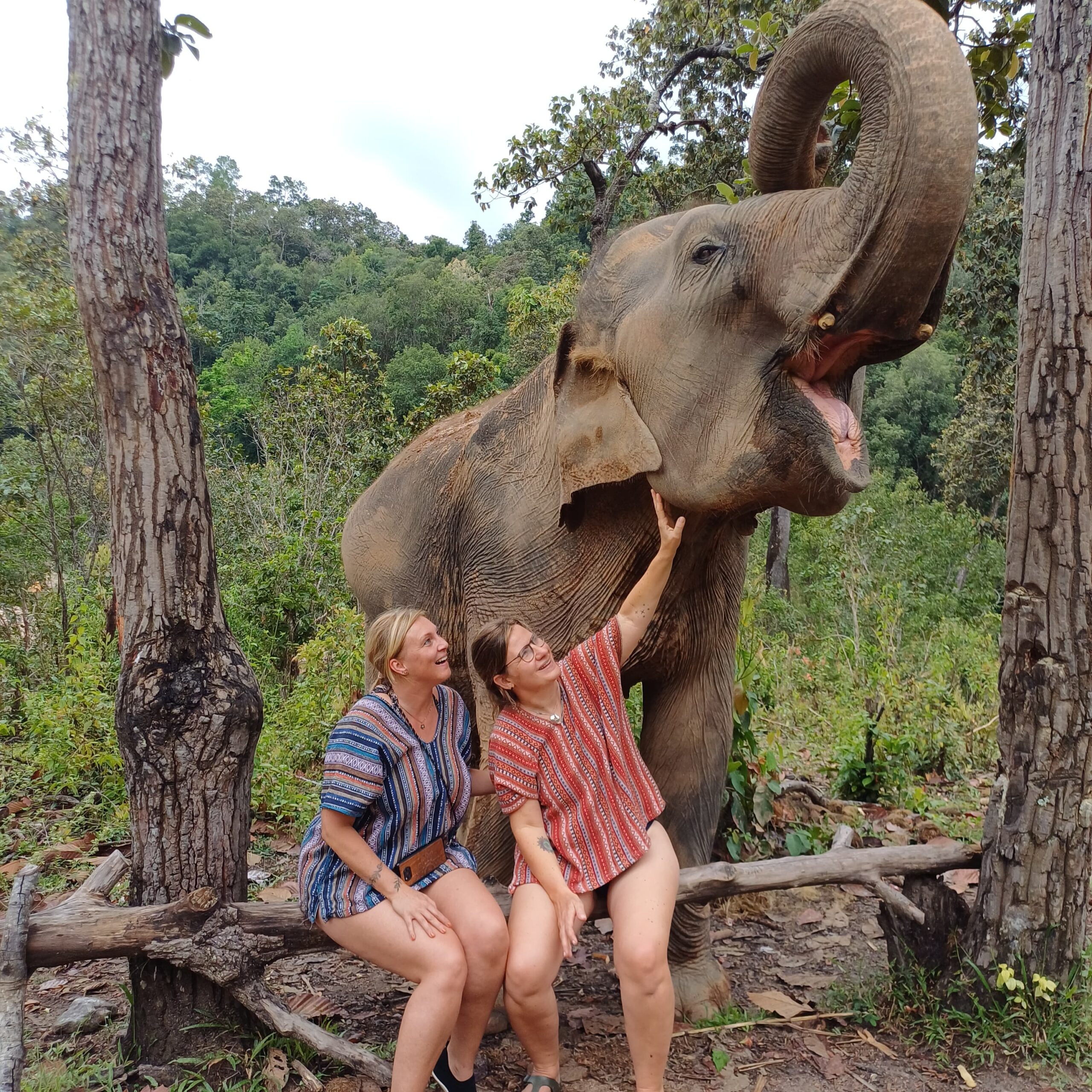 http://avichiangmaitravel.com/wp-content/uploads/2025/04/IMG-20250324-WA0156-scaled.jpg